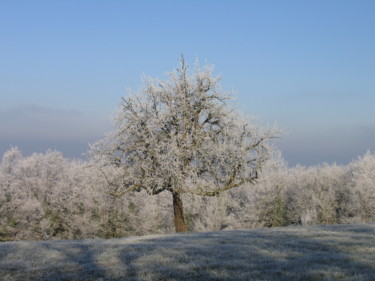 Paysage givré, collection Auvergne  en hiver 4