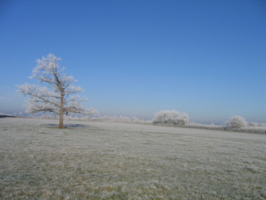 Le pré givré, collection Auvergne  en hiver 2