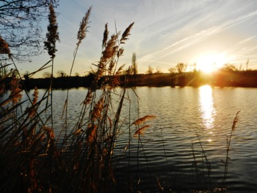 Coucher de soleil sur le lac de Grigny