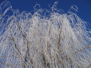 Pluie de givre, collection Auvergne  en hiver 3