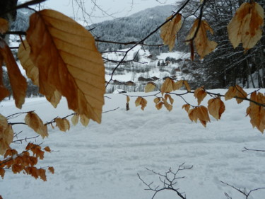 Derrière la Hêtraie, Collection Haute Savoie 3