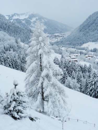 Mon beau sapin, Collection Haute Savoie 4