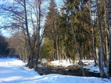 Sous Bois de montagne, Collection Haute Savoie 10