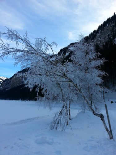 Le lac enneigé, Collection Haute Savoie 12