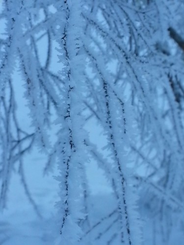 Parure de neige,  Collection Haute Savoie 13