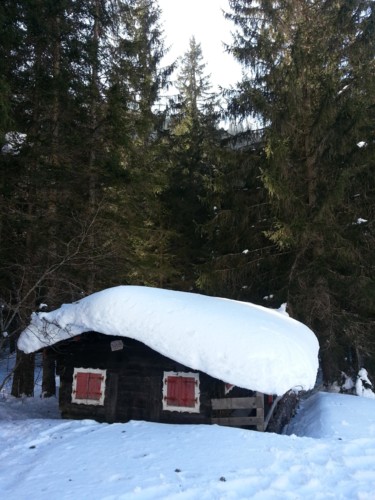 La maison des sept nains, Collection Haute Savoie 16