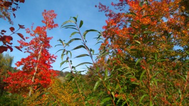 Automne à Giverny 3