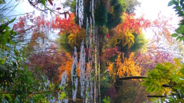 Reflets d'automne à Giverny 4