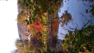 L'étang de Monet Giverny 5