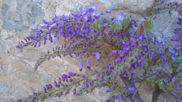 Parfum de la Glycine